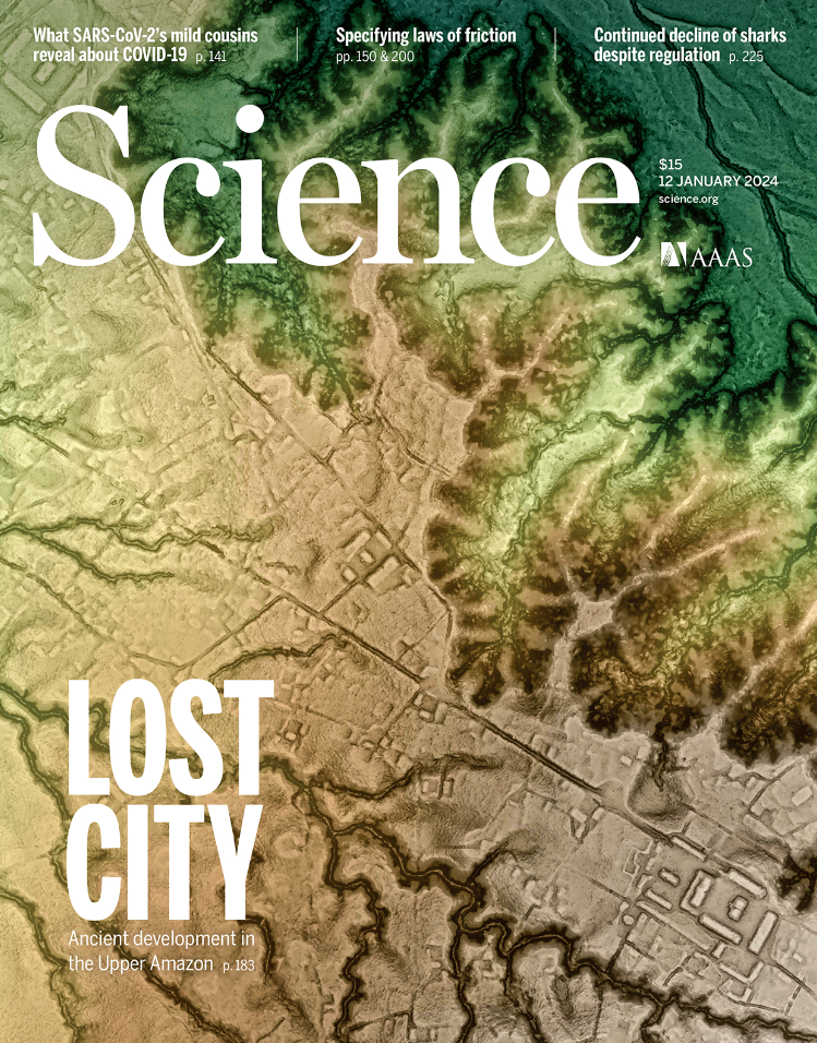 What a nice start of the year!