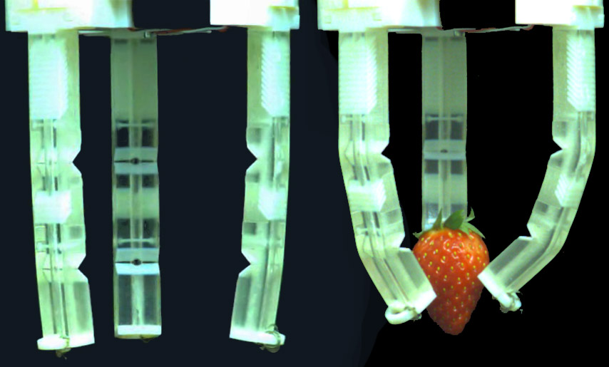 Soft robotics prototype